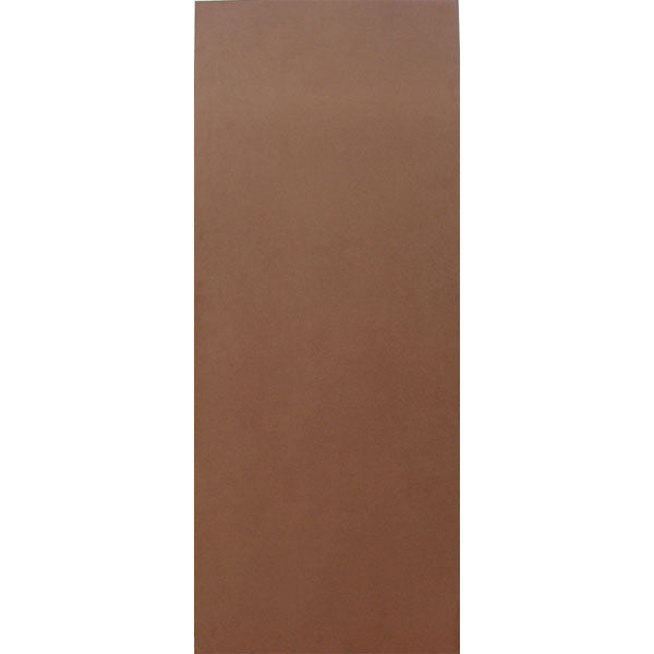 Flush Masonite H/C Interior Door