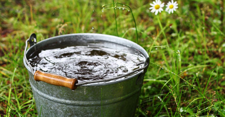 Harvesting Rainwater - From the Sky to You