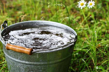 Harvesting Rainwater - From the Sky to You