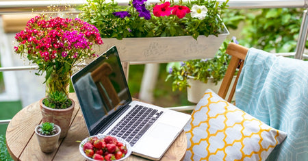 Urban Gardening - Let Your City Balcony Blossom & Grow