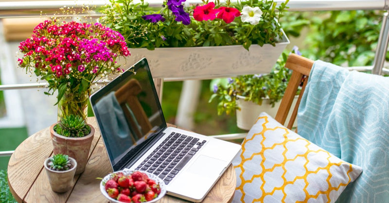 Urban Gardening - Let Your City Balcony Blossom & Grow