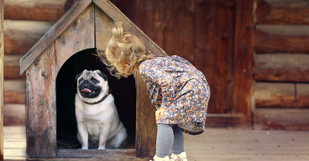 Give a Dog a Home - Choosing Dog Kennels