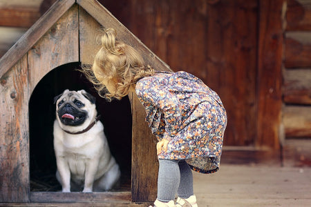 Give a Dog a Home - Choosing Dog Kennels