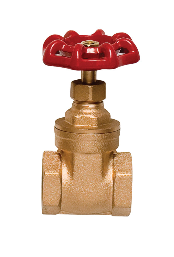 Gate Valve 22mm FxF