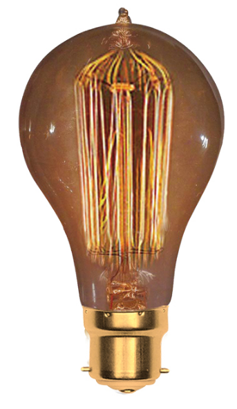 110-240V,40W Globe Type Carbon Filament Lamp,B22