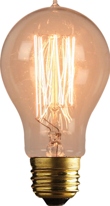 110-240V,40W Globe Type Carbon Filament Lamp,E27