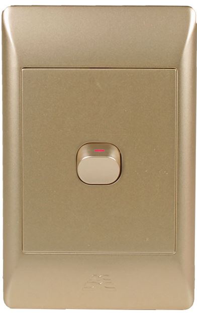 1-Lever 1-Way Switch 2X4 C/W Champagne Cover Plate