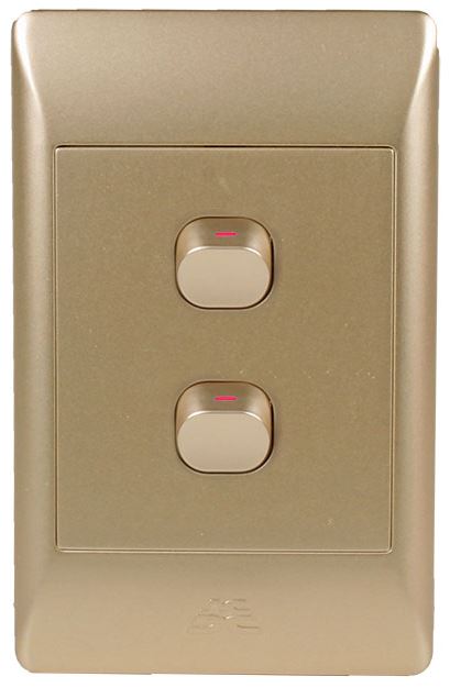 2-Lever 1-Way Switch 2X4 C/W Champagne Cover Plate