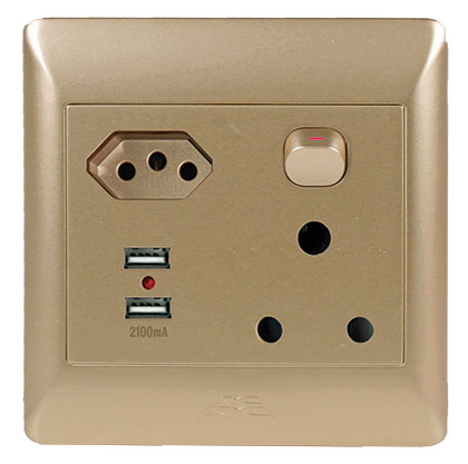 1X16A + 1 Euro + 2 Usb Socket Outlet 4X4 Champagne Cover Pla