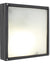 Load image into Gallery viewer, Square Medium B/Head 260Mm Black 1X100W

