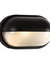 Load image into Gallery viewer, Oval Large Eyelid B/Head Black 100W
