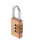 Load image into Gallery viewer, Padlock Combination 30mm (Blister)
