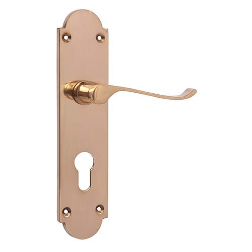 Delray Lever On Backplate CYL BR (Blister) Door Handle