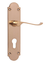 Load image into Gallery viewer, Delray Lever On Backplate CYL BR (Blister) Door Handle

