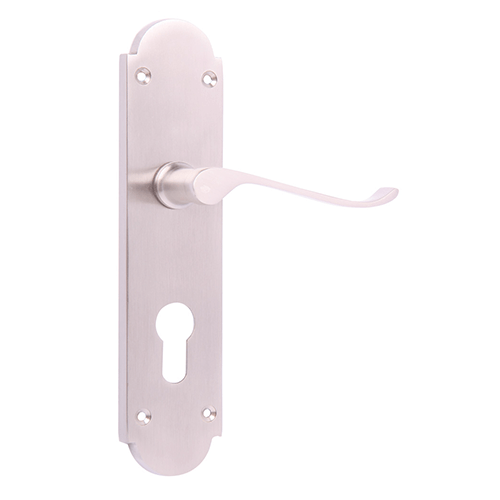 Delray Lever On Backplate CYL SN (Blister) Door Handle