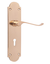Load image into Gallery viewer, Delray Lever On Backplate KEY BR (Blister) Door Handle
