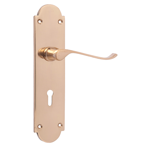 Delray Lever On Backplate KEY BR (Blister) Door Handle