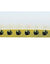 Load image into Gallery viewer, Busbar. 8X12, 71Mm Length 25Mm Sq, 5 Way
