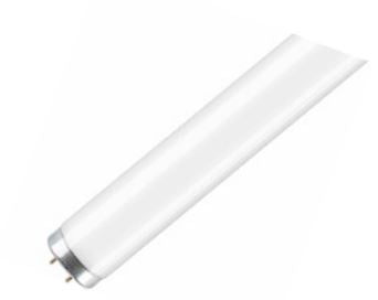 38Mm T12 Fluorescent Lamp 75W 8Ft - Cool White 4000K