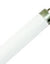 Load image into Gallery viewer, 16Mm T5 Fluorescent Lamp 8W - Cool White
