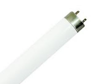 16Mm T5 Fluorescent Lamp 8W - Cool White