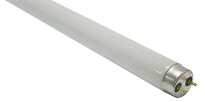 26Mm T8 Fluorescent Lamp 10W- Cool White