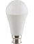 Load image into Gallery viewer, LED A60 15w B22 15w Cool White Globe Opal
