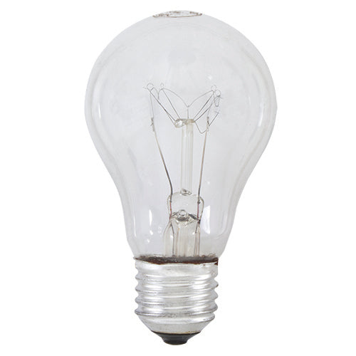 Rough Service Globe E27 60w*****