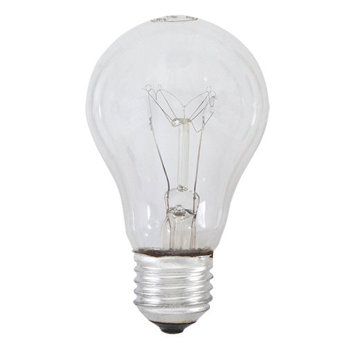 Rough Service Globe E27 100w