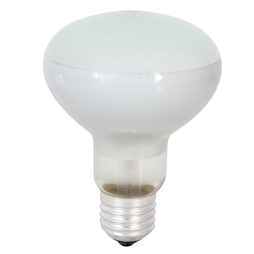 R80 Reflector E27 100w