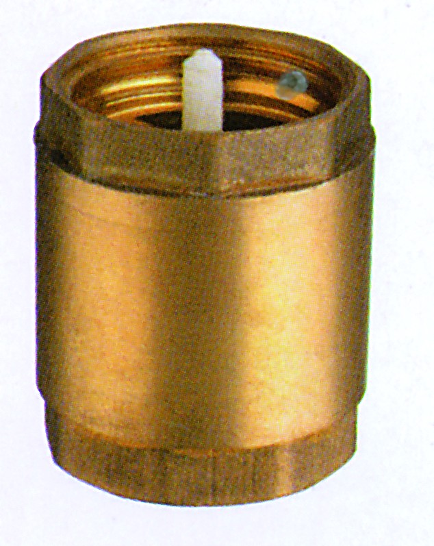 50mm (2")  NON RETURN VALVE