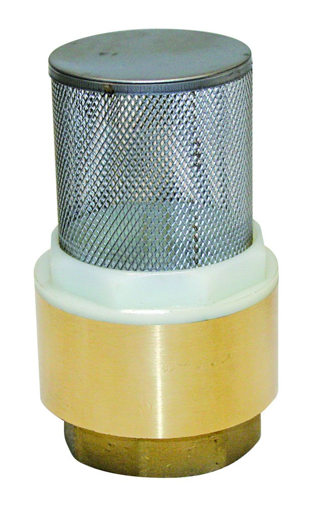 25mm(1")  NON RETURN VALVE WITH FILTER
