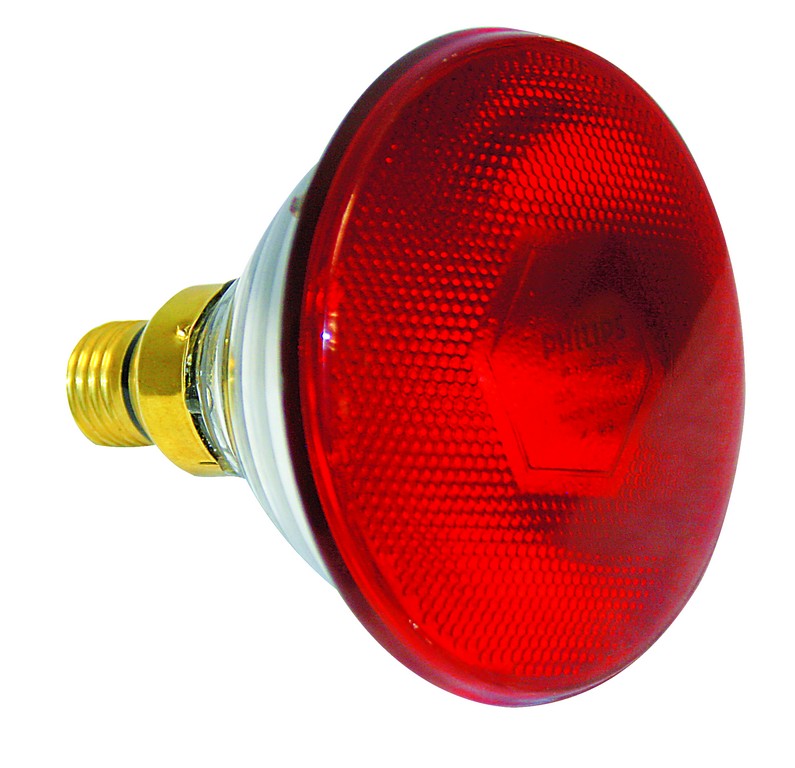 230Vac Infrared Lamp 175W  E27