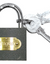 Load image into Gallery viewer, 20MM IRON PADLOCK
